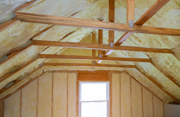 Best DIY Insulation Kits and Guidance in Beebe, AR