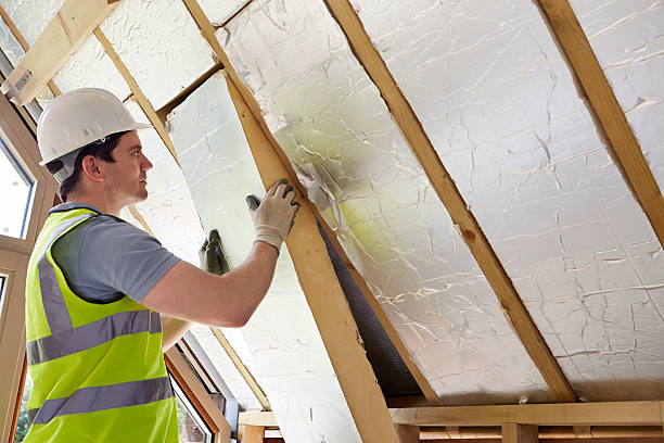Best Specialized Insulation Services in Beebe, AR